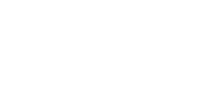 Bridge Bearings logo